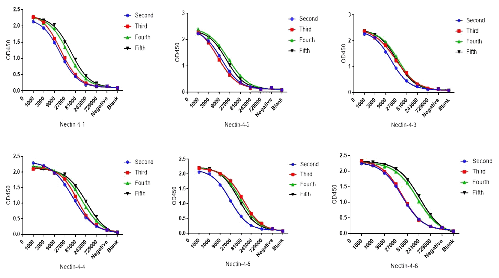 Nectin-4 Mouse Serum Titer.webp Nectin-4 Mouse Serum Titer.webp